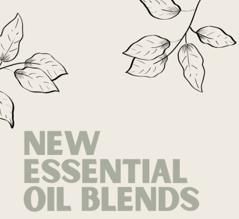 NEW PRODUCT ALERT 🥳