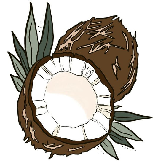 COCONUT FACTS 🥥