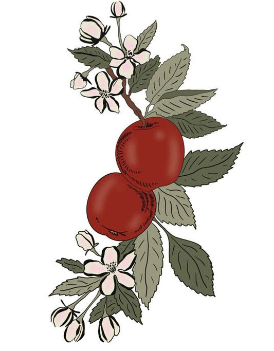 CRISP APPLE TEA π