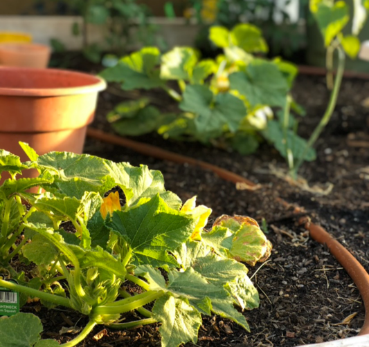 EASY COMPOSTING ๐ฑ