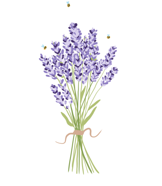 ALL THINGS LAVENDER 💜