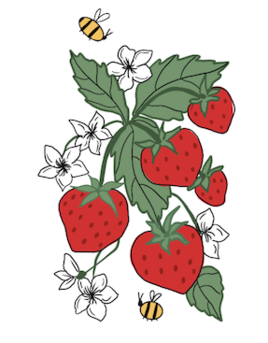 THE FRUIT OF MOTHERHOOD