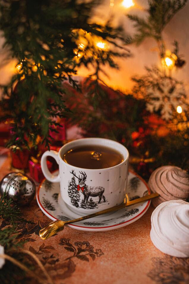TIPS FOR HAVING A MINDFUL HOLIDAY ✨