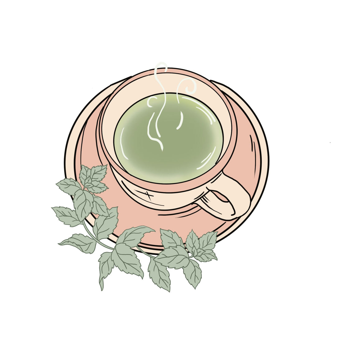 PEPPERMINT 🍃