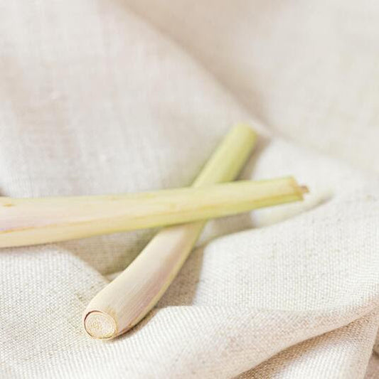 LEMONGRASS 🌿 🍋