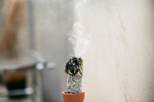 SELF CARE SATURDAY 🌿