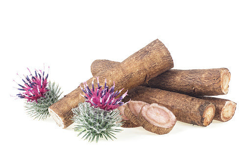 ALL ABOUT BURDOCK ☺️