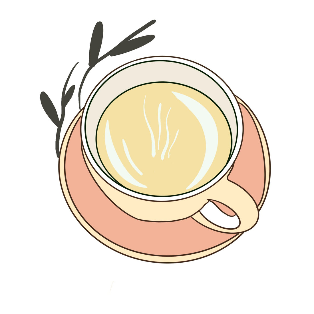 BREW TOOLS 101 🌿