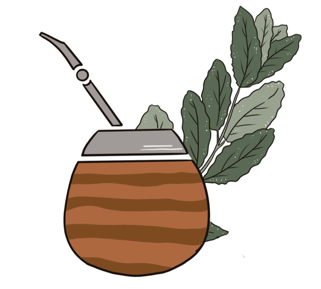 ALL ABOUT MATÉ 🌿