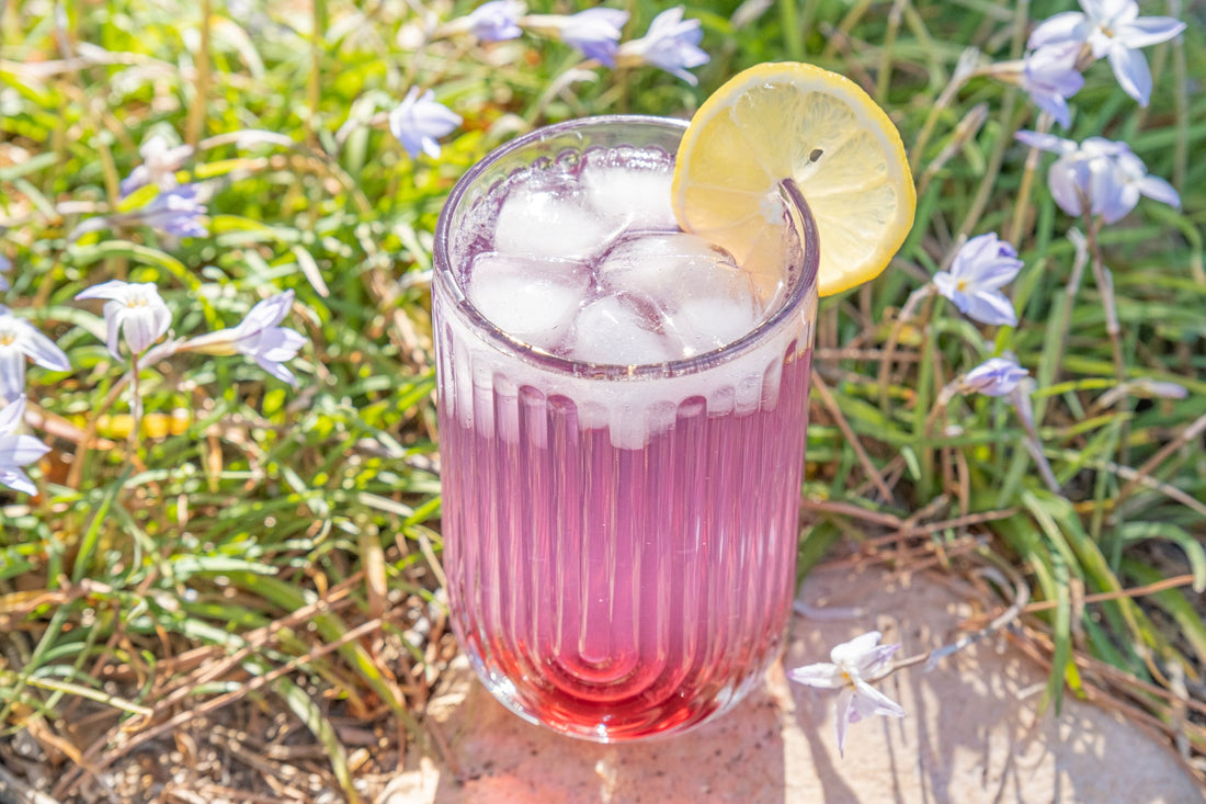 BUTTERFLY GARDEN TEA 🦋 ⛲️