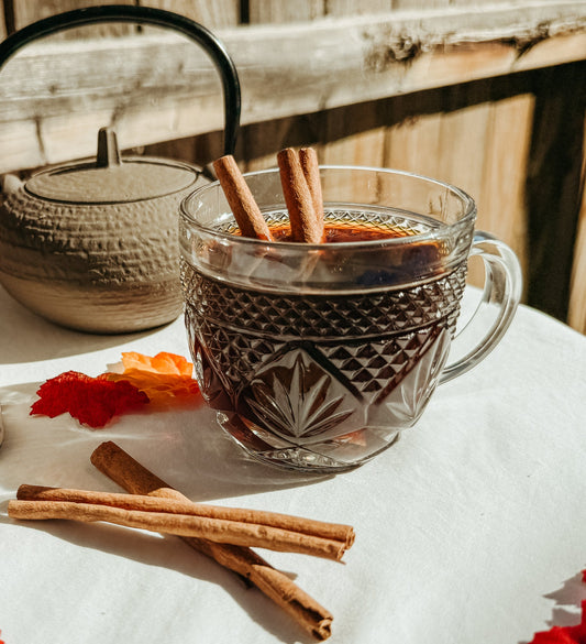 AUTUMN APPLE TEA 🍎 🍁