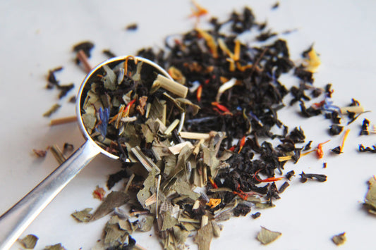BACK TO SCHOOL? CHECK OUT THESE BRAIN BOOSTING BLENDS 🤓