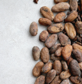 ALL ABOUT CACAO ☺️