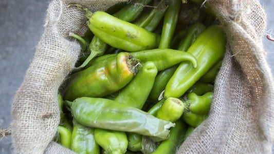 GREEN CHILE 💚 🔥