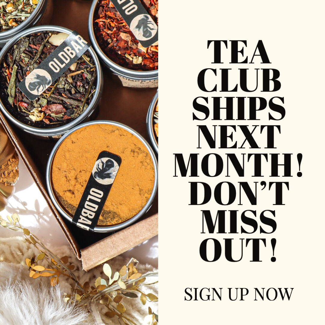 IT'S THAT TIME AGAIN! 🎄