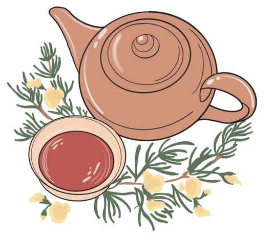 ALL ABOUT ROOIBOS! 🧡