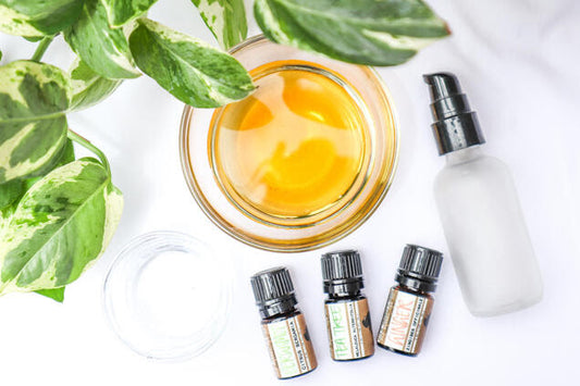 DIY BUG REPELLENT 🦟