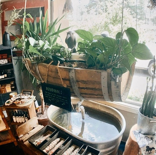 SMART HYDROPLANTER