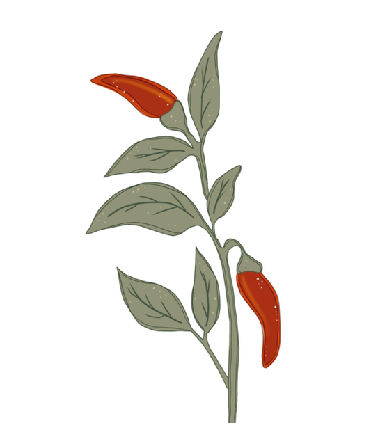 RED CHILE ❤️