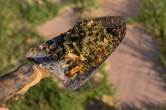 🌱 COMPOSTING TEA LEAVES