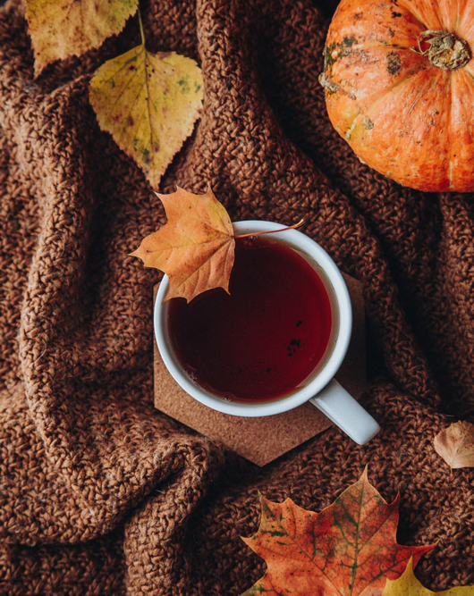 SEPTEMBER 2021 FAVORITES ✨