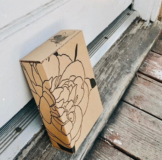 SUMMER CLUB 🥥🍋