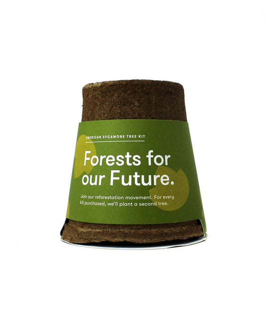 TREE PLANTING KITS 🌲