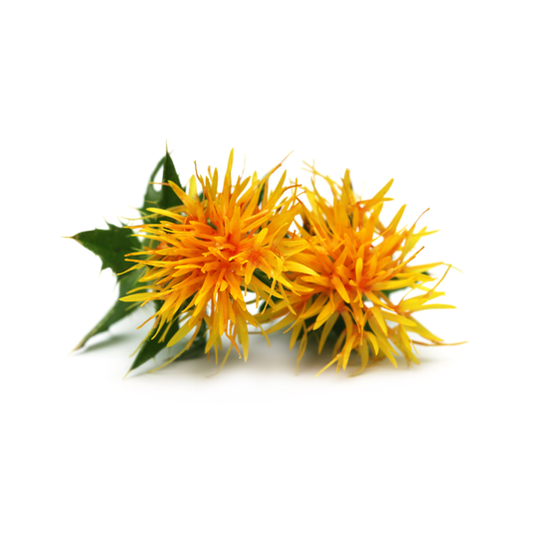 ⚘ ALL ABOUT SAFFLOWER ⚘