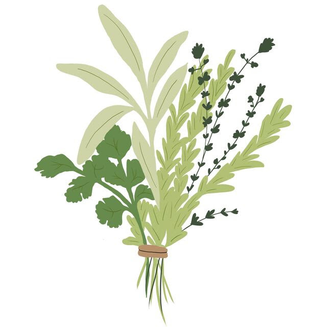 GOT LOTS OF HERBS? 🌿