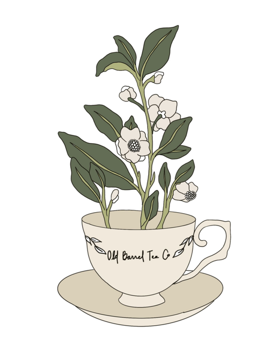 UP YOUR HEART HEALTH 🖤