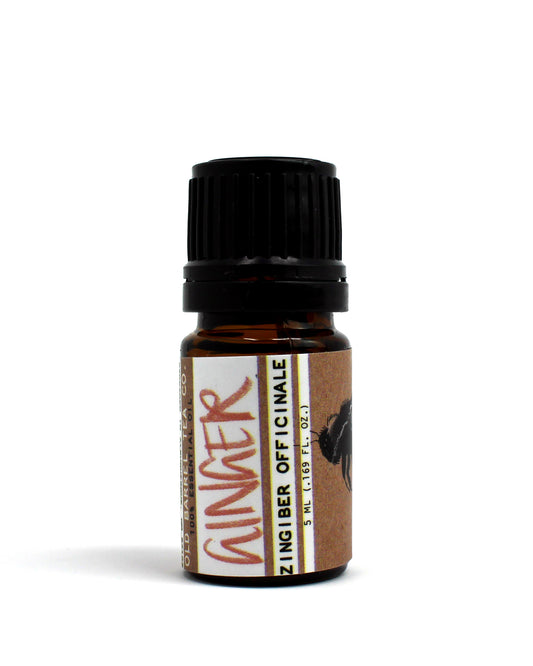 Ginger Essential Oil