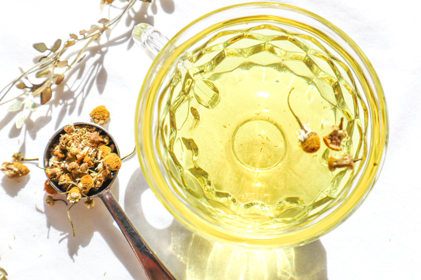 Chamomile