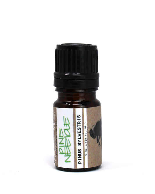 Pine Needle Essential Oil