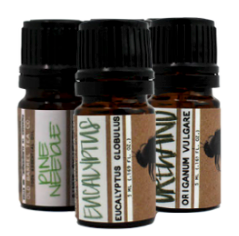 Woodsy Trail Essential Oil Blend